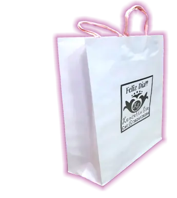 Bolsas de Papel Tipo Boutique (B-MCH)