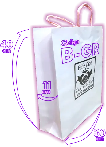 Bolsas de Papel Tipo Boutique (B-GR)